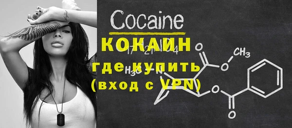 шишки Тында